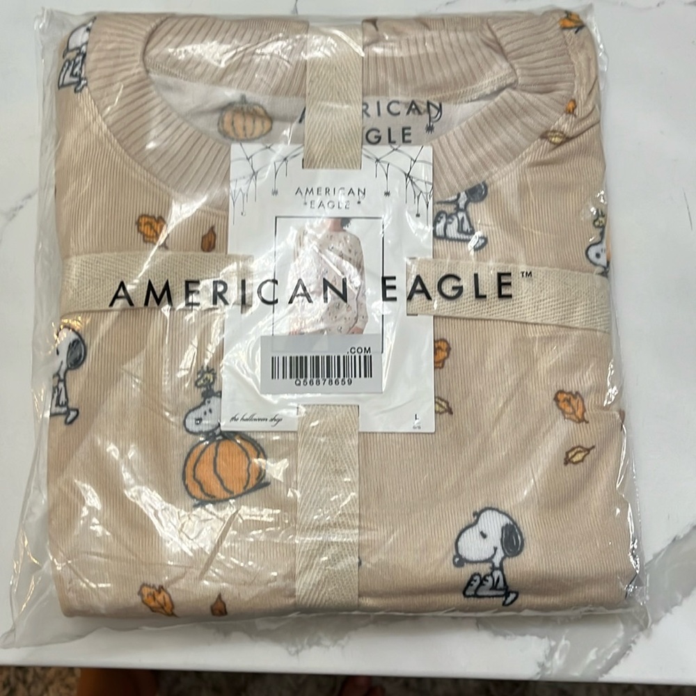 NWT AE fall snoopy PJs